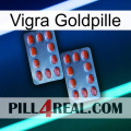 Vigra Gold Pill 05